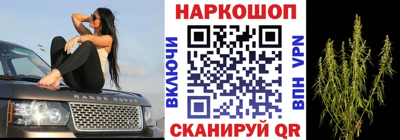 Наркошоп купить Бошки Шишки  Героин  Мефедрон  СОЛЬ  Пласт
