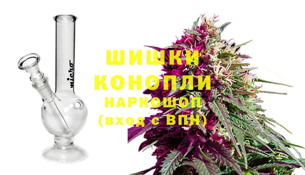 тгк Горнозаводск